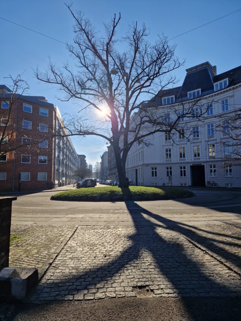 Brandsikring af boligforening
